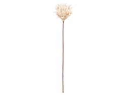 Gilde Kunstblumen Blüte, Creme-Weiss H: 90 cm  | Schubiger Möbel
