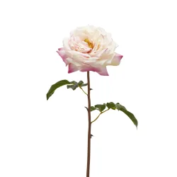 Edg Kunstblume Rose Hellrosa H: 50 cm  | Schubiger Möbel
