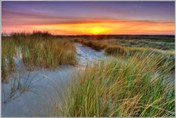 image LAND Bild mit Rahmen Dünenlandschaft mit Sonnenuntergang  | Schubiger Möbel