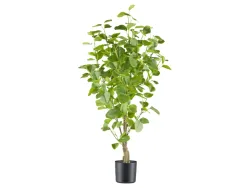 Gasper Kunstpflanzen Eukalyptus im Kunststofftopf H: 90 cm  | Schubiger Möbel