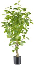 Gasper Kunstpflanzen Eukalyptus im Kunststofftopf H: 90 cm  | Schubiger Möbel