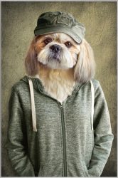 image LAND Bild mit Rahmen Witziger Hund mit Jacke  | Schubiger Möbel