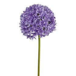 Gasper Kunstblume Allium, Lila  | Schubiger Möbel