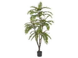 Edg Kunstpflanze Götterbaum H: 150 cm  | Schubiger Möbel