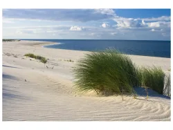 image LAND Alubild Strand mit Dünengras  | Schubiger Möbel