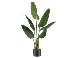 Gasper Kunstpflanzen Strelitzia / H: 90 cm  | Schubiger Möbel