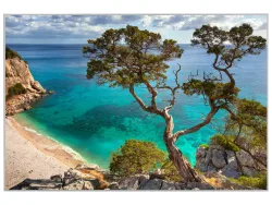 image LAND Bild mit Rahmen Steilküste mit Baum  | Schubiger Möbel