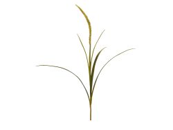Edg Kunstblumen Gras Grün H: 110 cm  | Schubiger Möbel