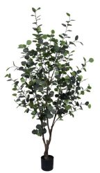 Bizzotto Kunstpflanzen Eukalyptus H: 180 cm Grün | Schubiger Möbel