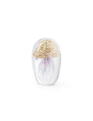 Abhika Briefbeschwerer Jellyfish in Glas Gold H: 10 cm  | Schubiger Möbel