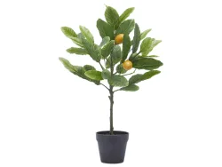 Edg Kunstpflanze Zitronenbaum H: 48 cm  | Schubiger Möbel