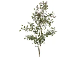 Edg Kunstpflanze Eucalyptusbaum H: 178 cm  | Schubiger Möbel