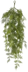 Gasper Kunstpflanze Asparagus  Hänger, Grün H: 90 cm  | Schubiger Möbel