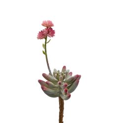 Edg Kunstblume Fetthenne Rosa H: 23 cm  | Schubiger Möbel
