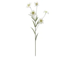 Edg Kunstblumen Edelweiss H: 65 cm  | Schubiger Möbel