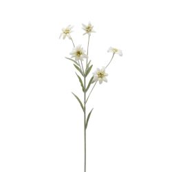 Edg Kunstblumen Edelweiss H: 65 cm  | Schubiger Möbel