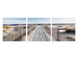 image LAND Bild Der Weg Zum Strand  | Schubiger Möbel