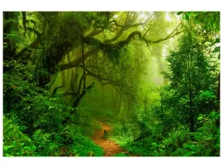 image LAND Canvas Woodland  | Schubiger Möbel