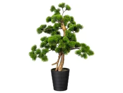 Gasper Kunstpflanze Bonsai Kiefer im Topf H: 90 cm  | Schubiger Möbel