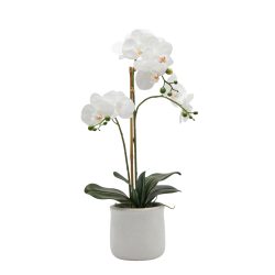 Edg Kunstpflanze Orchidee im Topf H: 56 cm  | Schubiger Möbel