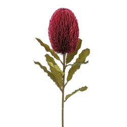 Gasper Kunstblume Banksia, Bordeaux H: 65 cm  | Schubiger Möbel