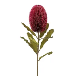 Gasper Kunstblume Banksia, Bordeaux H: 65 cm  | Schubiger Möbel