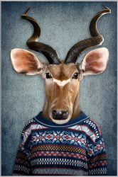 image LAND Bild mit Rahmen Antilope mit Pulli  | Schubiger Möbel