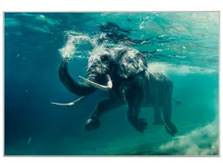 image LAND Bild mit Rahmen Schwimmender Elefant  | Schubiger Möbel