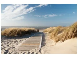 image LAND Digitaldruck auf Glas Holzweg Zum Meer 1  | Schubiger Möbel