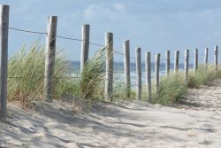 image LAND Alubild Zaun in Den Dünen  | Schubiger Möbel