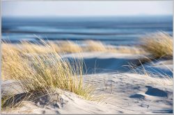 image LAND Bild mit Rahmen Time Out on The Beach  | Schubiger Möbel