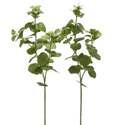 Edg Kunstblume Melisse H: 64 cm  | Schubiger Möbel