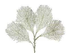 Edg Kunstblume Corallenblatt H: 66 cm  | Schubiger Möbel