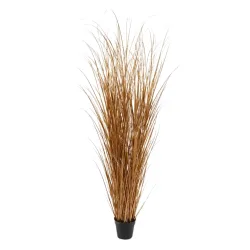 Edg Kunstpflanzen Schilfgras Gold H: 180 cm  | Schubiger Möbel
