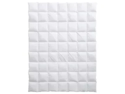 Billerbeck Ganzjahresduvet Bern 100 Weiss | Schubiger Möbel