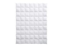 Billerbeck Ganzjahresduvet Bern 100 Weiss | Schubiger Möbel