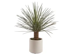 Edg Kunstpflanze Yucca H: 81 cm  | Schubiger Möbel