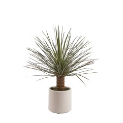 Edg Kunstpflanze Yucca H: 81 cm  | Schubiger Möbel