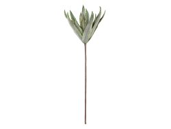Gilde Kunstblumen Kaktusblätter H: 110 cm  | Schubiger Möbel