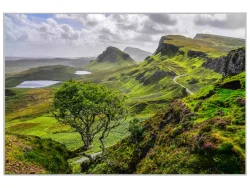 image LAND Bild mit Rahmen Hügelige Landschaft  | Schubiger Möbel