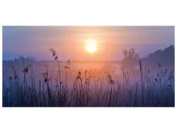 image LAND Alubild Sonnenaufgang im Nebel  | Schubiger Möbel