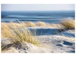 image LAND Canvas Time Out on The Beach  | Schubiger Möbel