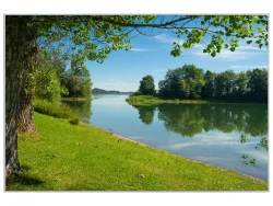 image LAND Bild mit Rahmen Ruhiger Flusslauf  | Schubiger Möbel