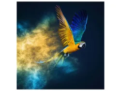 image LAND Canvas Fliegender Papagei  | Schubiger Möbel