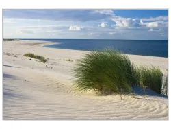 image LAND Bild mit Rahmen Strand mit Dünengras  | Schubiger Möbel