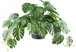 Gasper Kunstpflanze Splitphilodendron Hänger, Grün  | Schubiger Möbel