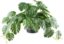 Gasper Kunstpflanze Splitphilodendron Hänger, Grün  | Schubiger Möbel