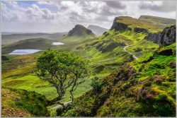 image LAND Bild mit Rahmen Hügelige Landschaft  | Schubiger Möbel