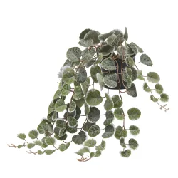 Edg Kunstblume Seidenpflanze Grün H: 40 cm  | Schubiger Möbel