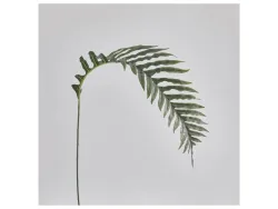 Abhika Kunstblume Palmblatt H: 145 cm  | Schubiger Möbel
